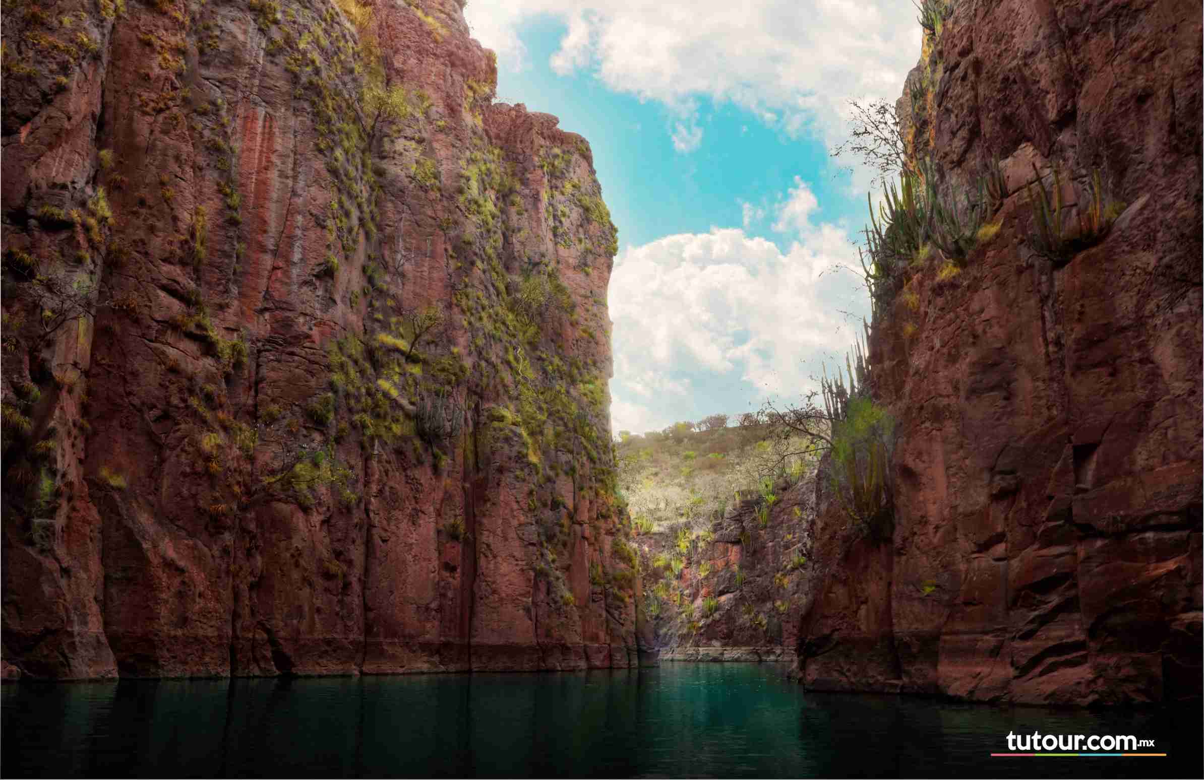 PRESA DE MALPASO  - CALVILLO  